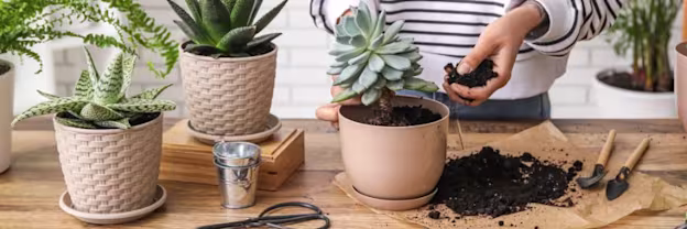 ibl8rkc7m3ejuqecirqi